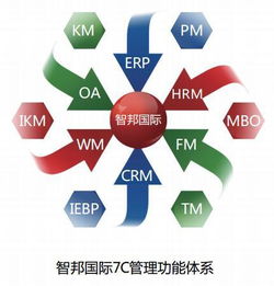 企業管理軟件100%成功率背后的故事 計算機系統服務的精密藝術